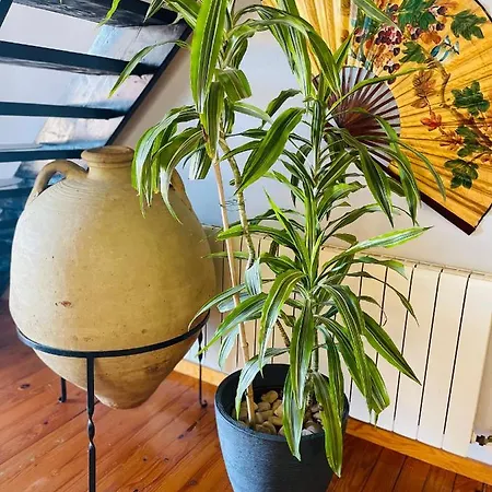 Gosselin Korculanin Apartment